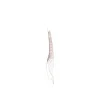 Brushworks Traditional Tweezer