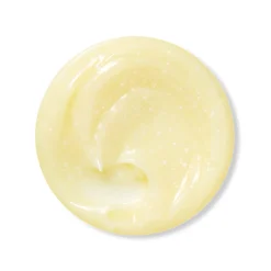 Eqqualberry Vitamin Illuminating Cream 50ml (1.69floz)