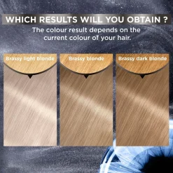 Garnier Olia Hi-Shine Toner Semi-Permanent Hair Dye Ash Blonde