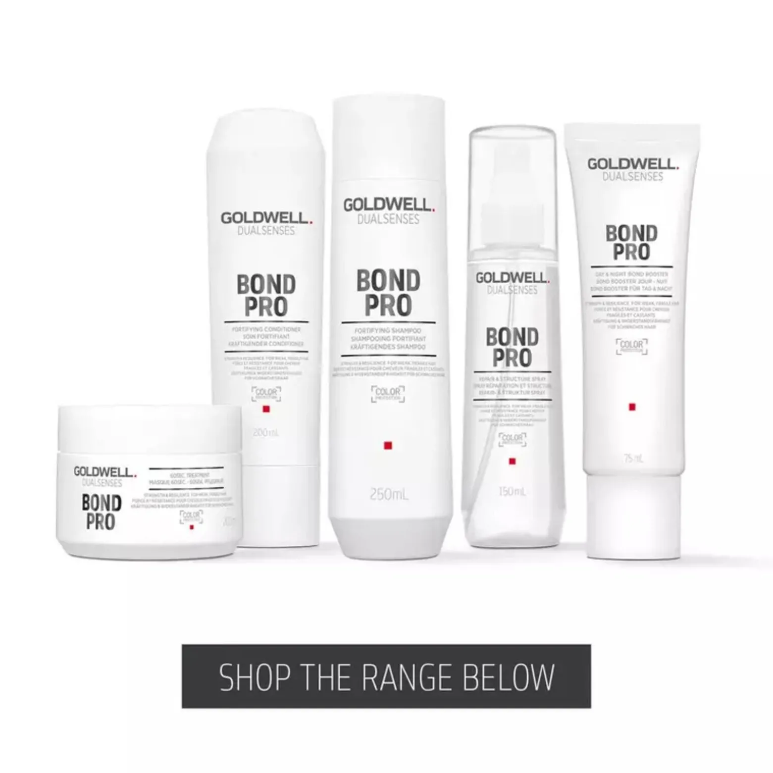 Goldwell Dualsenses Bond Pro Repair & Structure Spray 150ml (5.07floz)