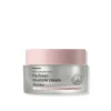 Hanskin Real Complexion Hyaluron Moisture Cream 50ml (1.69floz)