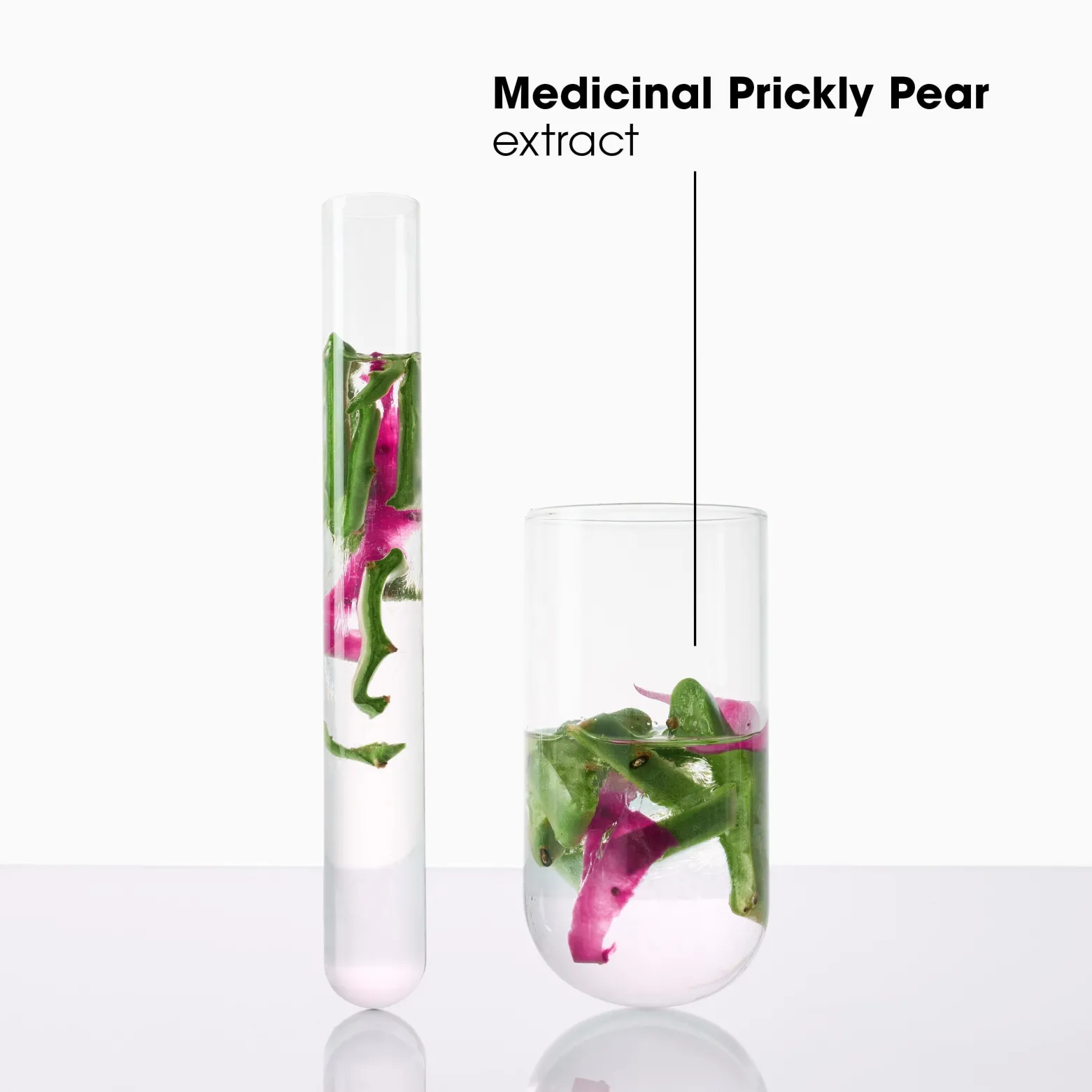 Klorane 72h Hydration & Shine Plumping Mask Prickly Pear 250ml (8.4floz)