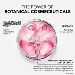 Lierac Glow Fresh The Radiance Plumping Cream 50ml (1.69floz)