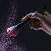 Sisley Paris Blush Brush