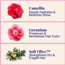 The Powder Shampoo Hydrating Shampoo Camellia & Geranium Refill 50g (1.76oz)