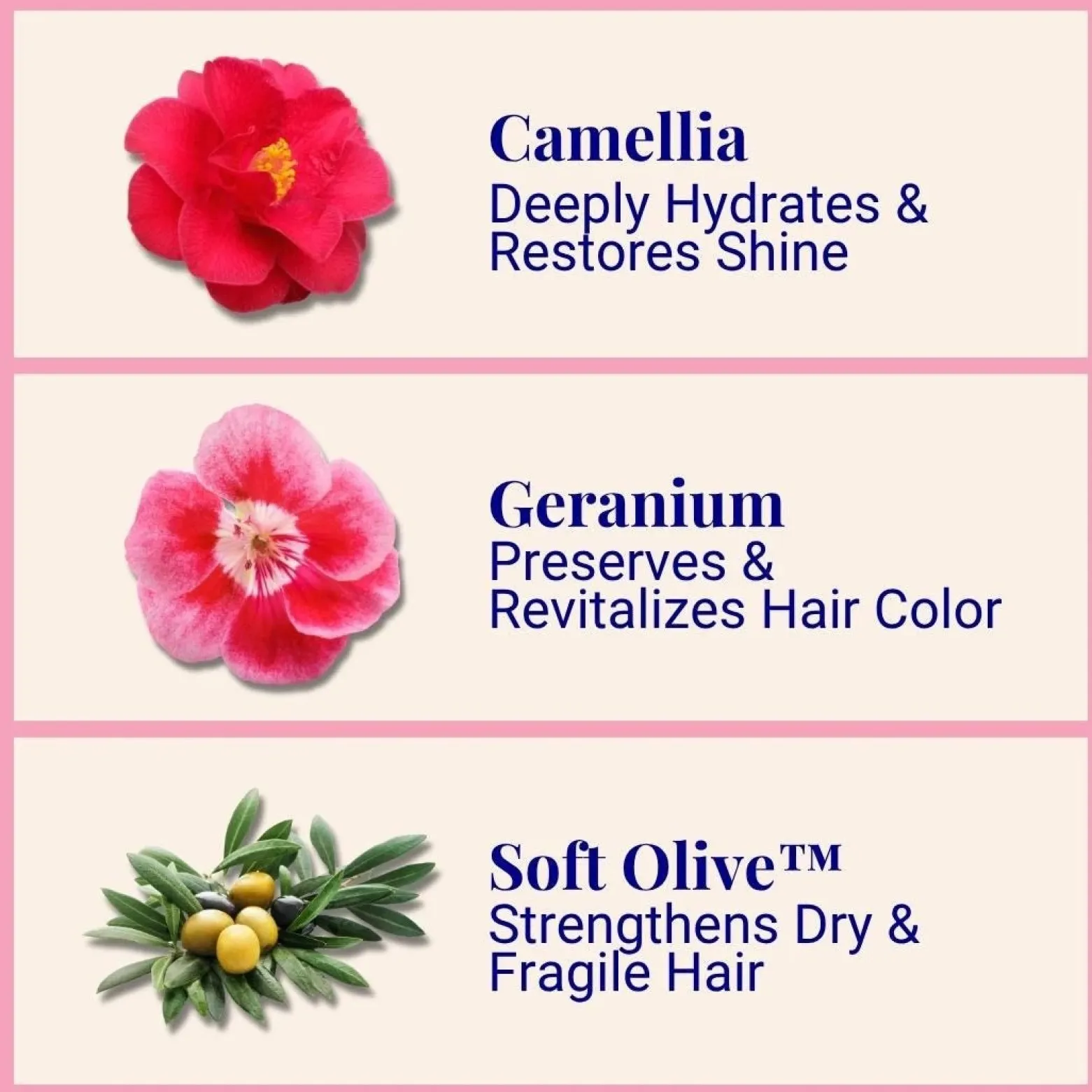The Powder Shampoo Hydrating Shampoo Camellia & Geranium Refill 50g (1.76oz)