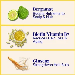 The Powder Shampoo Invigorating Shampoo Bergamot & Thyme 70g (2.47oz)